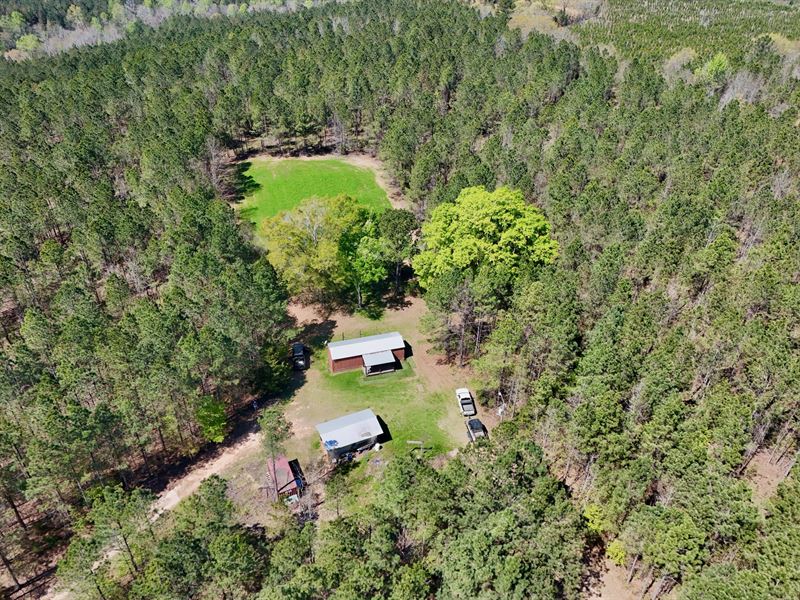 Lyons Tract on Cedar Creek : Minter : Dallas County : Alabama