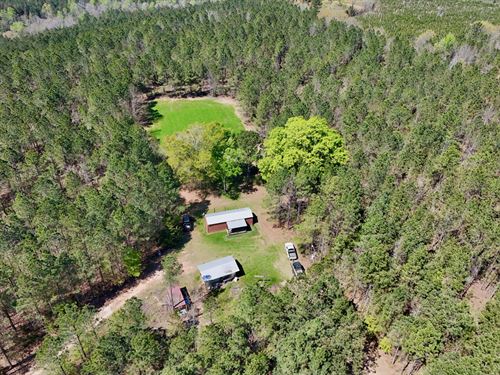 Lyons Tract on Cedar Creek : Minter : Dallas County : Alabama