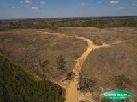 160 Ac Planted Pine & Hunting : Kelly : Union Parish : Louisiana