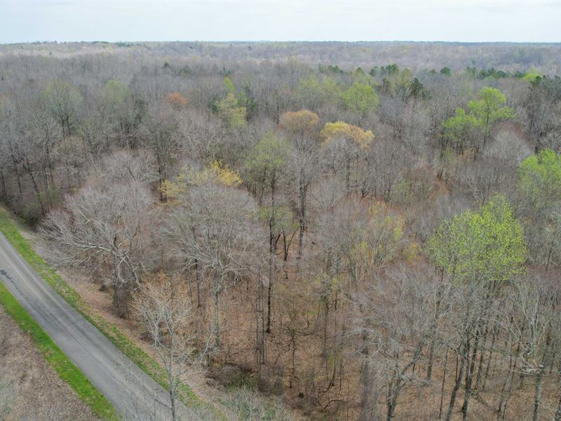 Holladay Road Acreage : Holladay : Decatur County : Tennessee