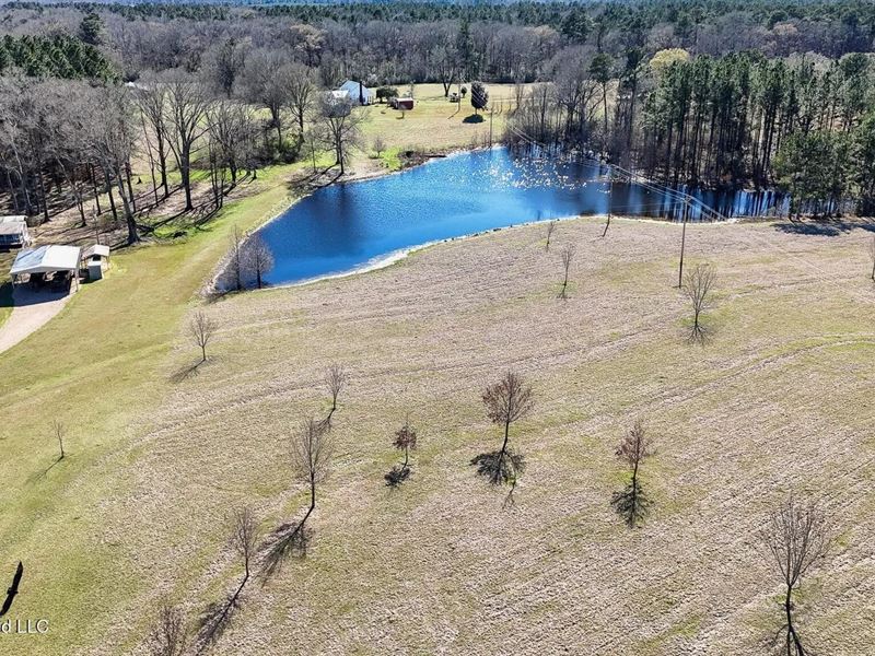 Amite County MS Turnkey 45 Acres : Liberty : Amite County : Mississippi