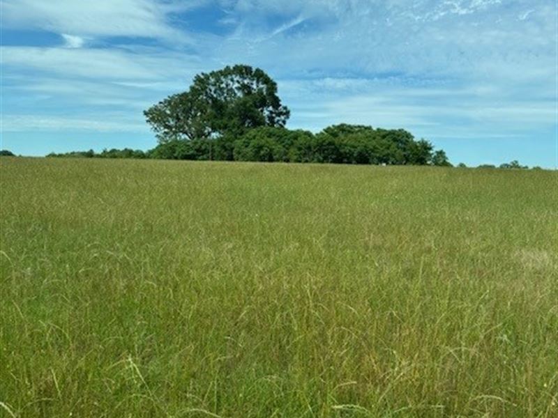 Prime Real Estate South Bibb : Macon : Bibb County : Georgia