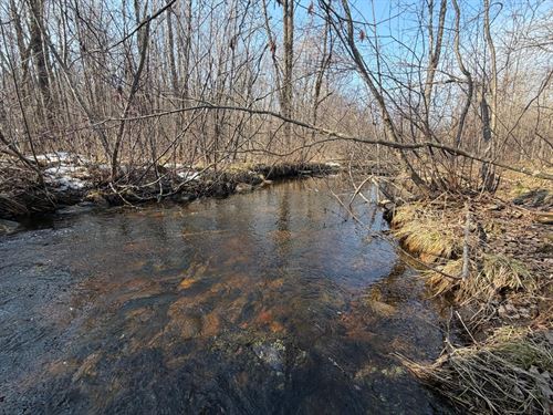 Main Creek Acreage : Georgetown : Price County : Wisconsin