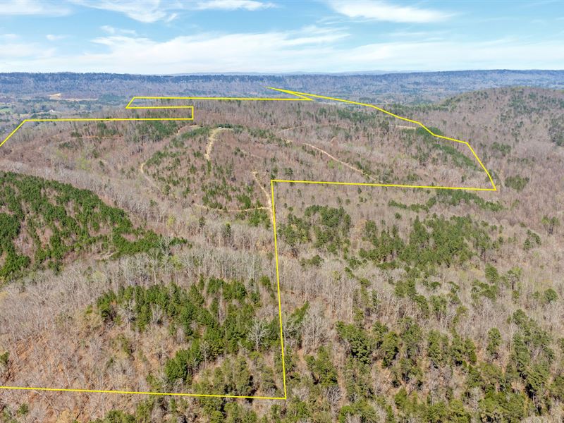 Rock Bridge Hunting Retreat : Gallant : Etowah County : Alabama