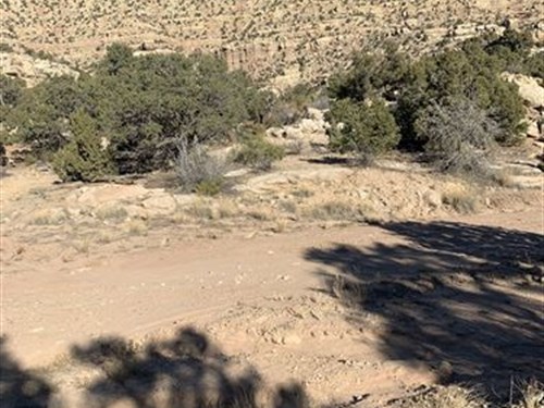 5 Acres at The Foot Of Mountain : Duchesne : Utah