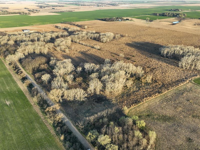 Plevna Wildlife Haven & Build Site : Plevna : Reno County : Kansas