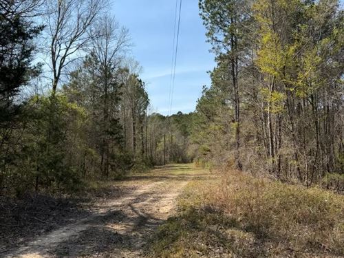 18.69 Acres in Lauderdale County : Meridian : Lauderdale County : Mississippi