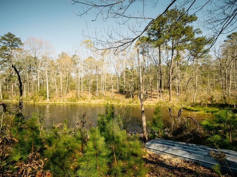 88 Acres Simpson County, MS : Braxton : Simpson County : Mississippi