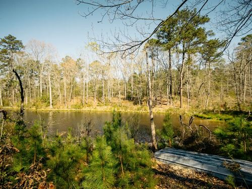 88 Acres Simpson County, MS : Braxton : Simpson County : Mississippi