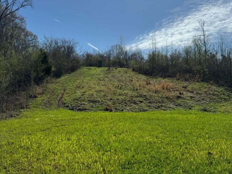 75 Acres with a Camp in Tallahatchi : Charleston : Tallahatchie County : Mississippi