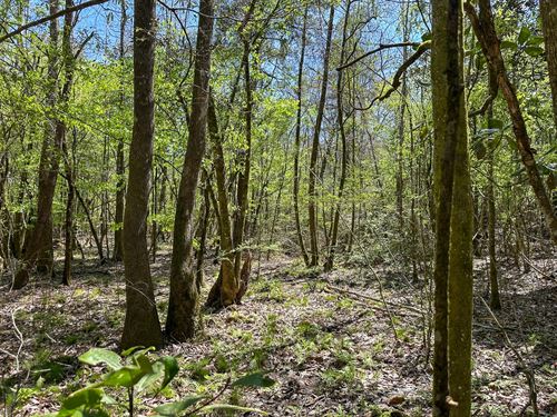 MT Hermon 42 : Mt. Hermon : Washington Parish : Louisiana