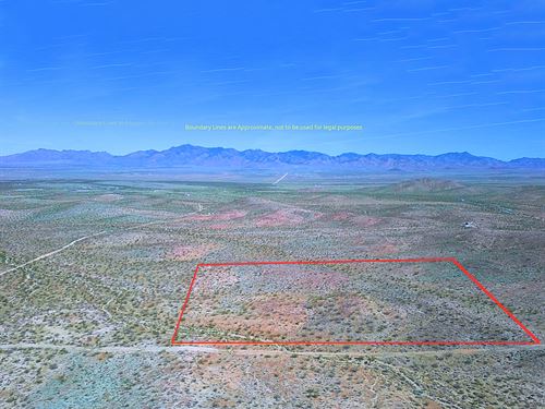 Freedom Living & Family Fun : Dolan Springs : Mohave County : Arizona