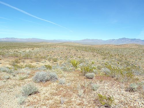 Dream Homestead is Waiting : Dolan Springs : Mohave County : Arizona