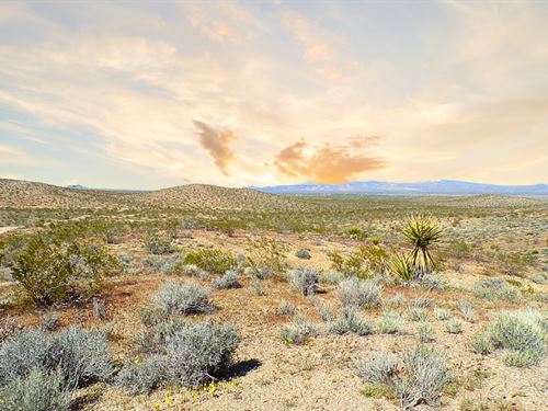 5 Acres of Freedom & Fresh Air : Dolan Springs : Mohave County : Arizona