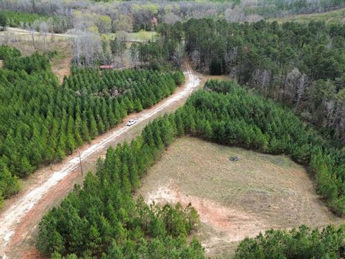 5 Acres Tallapoosa Ao. AL : Dadeville : Tallapoosa County : Alabama