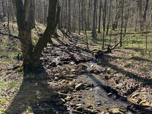 Hunters Dream 49 AC Dekalb Co : Collinsville : Dekalb County : Alabama