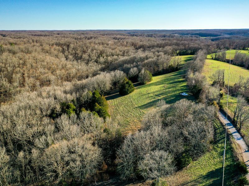 Star Hollow : Exeter : Barry County : Missouri