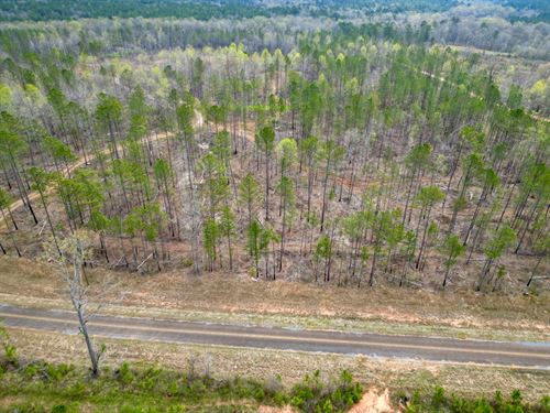 Walnut Creek Farm, 72 Acres : Wadley : Chambers County : Alabama