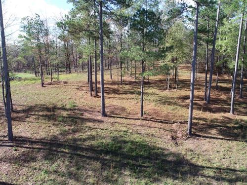 Yellowleaf Creek Farm : Westover : Shelby County : Alabama