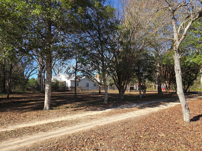 Beautiful Timber+Farmhouse+Hunt : Opelika : Russell County : Alabama