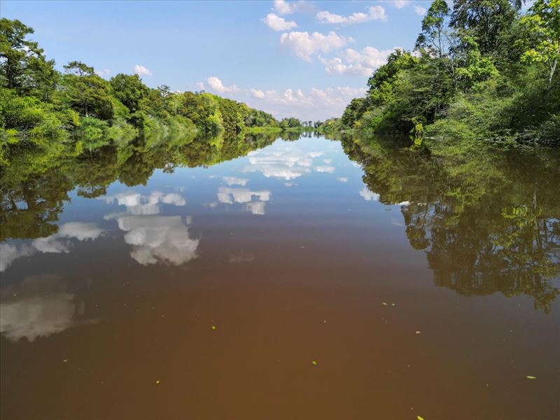 Hunting and Fishing Retreat : Corning : Clay County : Arkansas