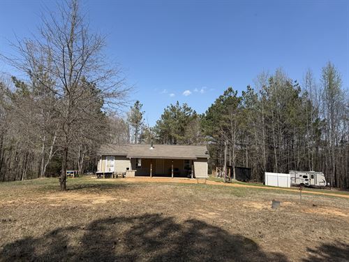 Hunting Land with Cabin in TN : Bethel Springs : McNairy County : Tennessee