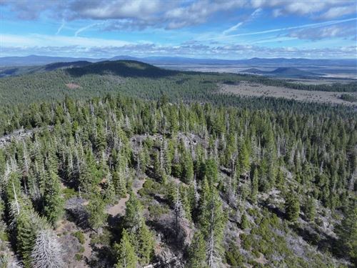 Over 33 Acres : Bonanza : Klamath County : Oregon