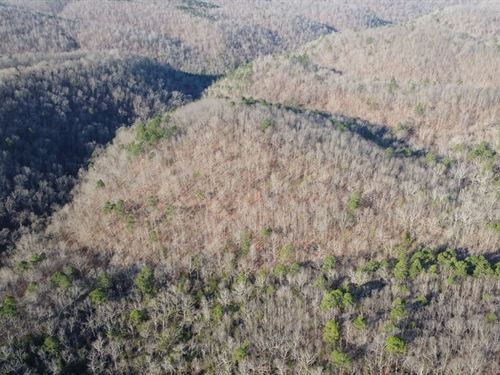 141 Acres in Cozahome : Harriet : Marion County : Arkansas