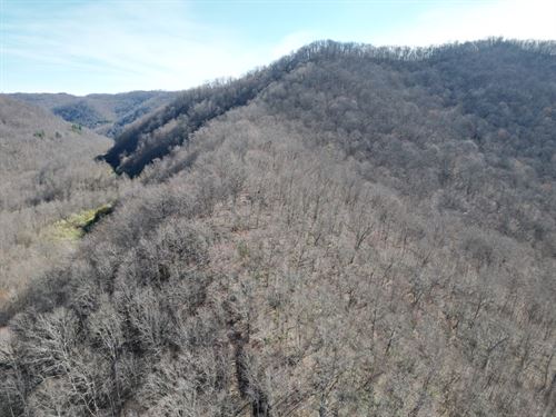 Sims Fork 155 : Arjay : Bell County : Kentucky