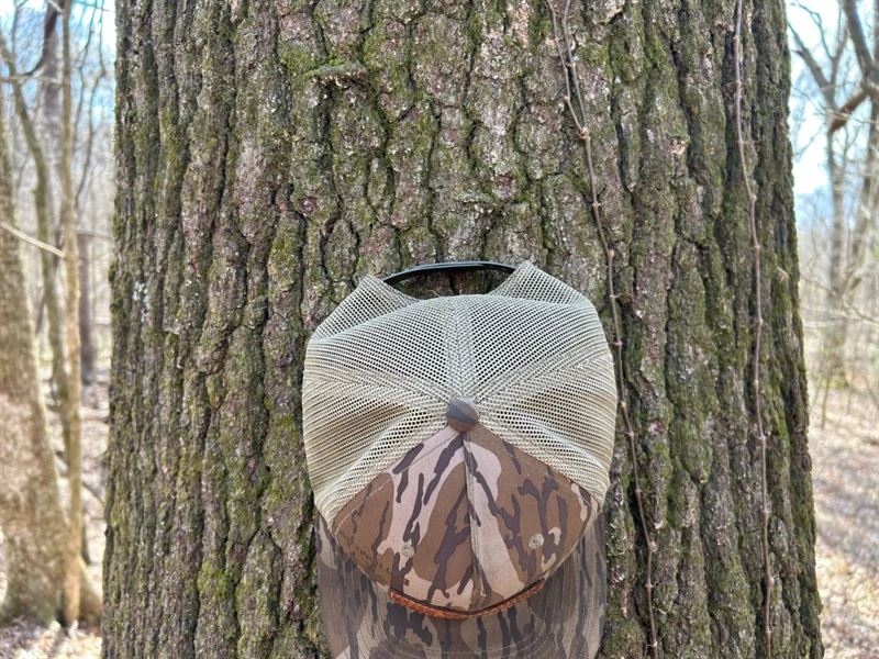 30 Acres in Panola County, MS : Crenshaw : Panola County : Mississippi