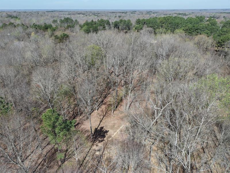 80.4 Acres with a Cabin in Hardeman : Toone : Hardeman County : Tennessee