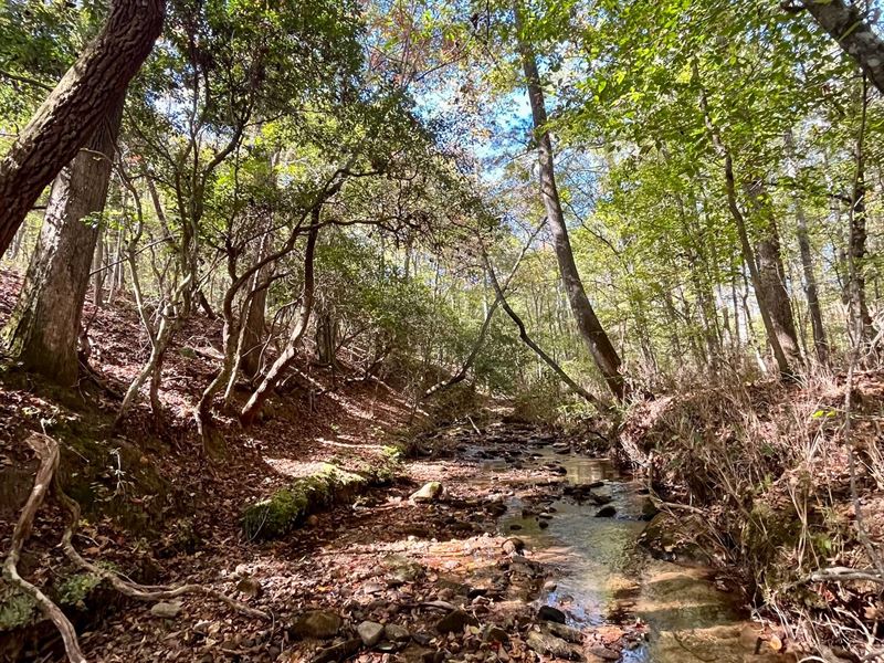 71 Acres in Wedowee, AL : Wedowee : Randolph County : Alabama