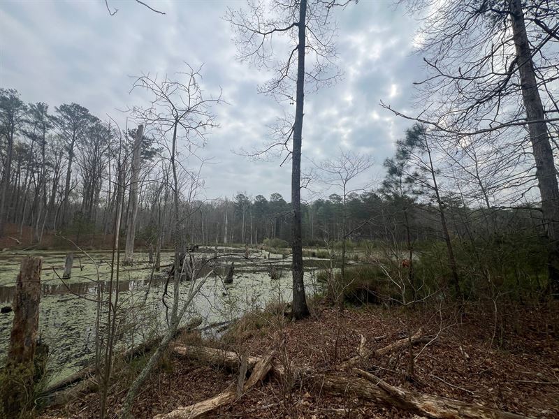 Residential Lot in Coweta County : Grantville : Coweta County : Georgia