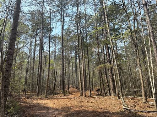 15 Acres, Waverly, AL : Camp Hill : Tallapoosa County : Alabama