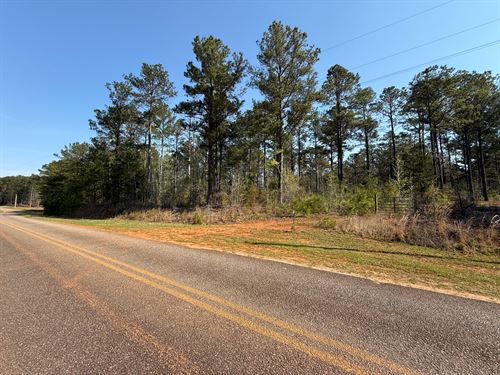 31 Acres, Waverly, AL : Camp Hill : Tallapoosa County : Alabama