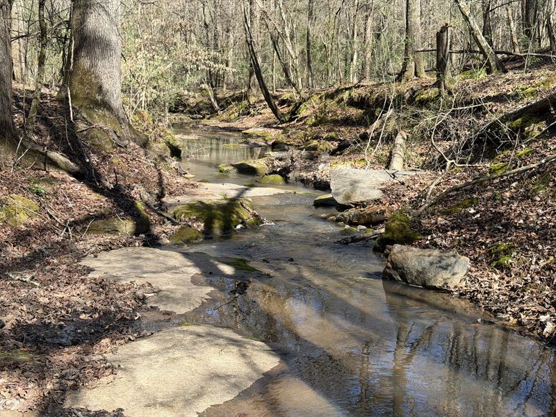 Three Stream Hunting Tract : Elberton : Elbert County : Georgia