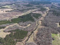 M Bar 1675 Choctaw Co. AL : Gilbertown : Choctaw County : Alabama