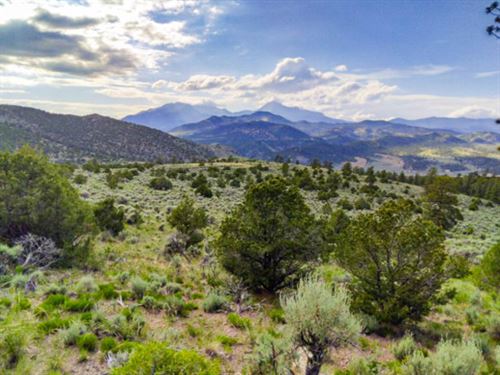 Living Wild & Free on 5.3 Acres : Fort Garland : Costilla County : Colorado