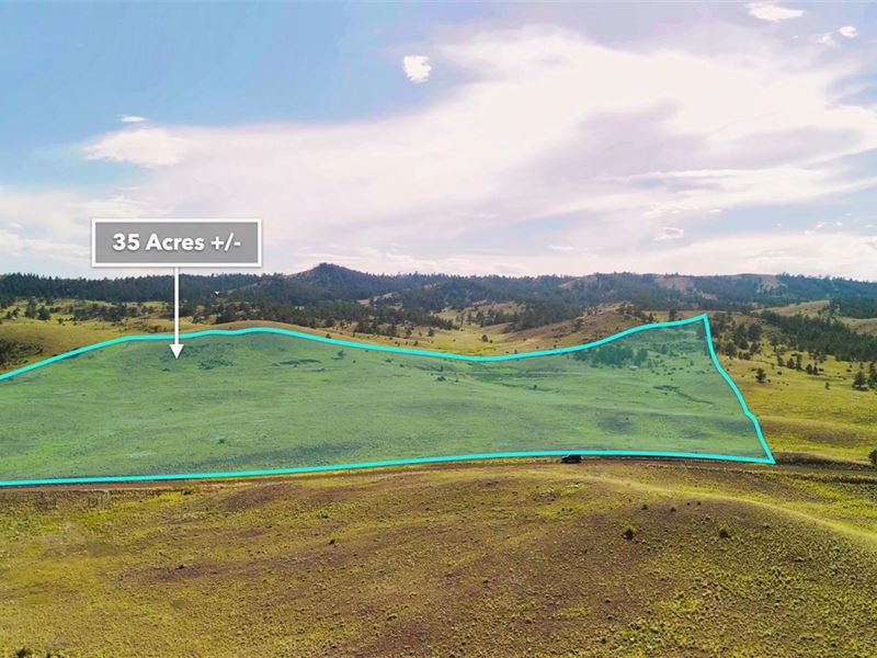 Accessible/Private/Peaceful 35 AC : Hartsel : Park County : Colorado