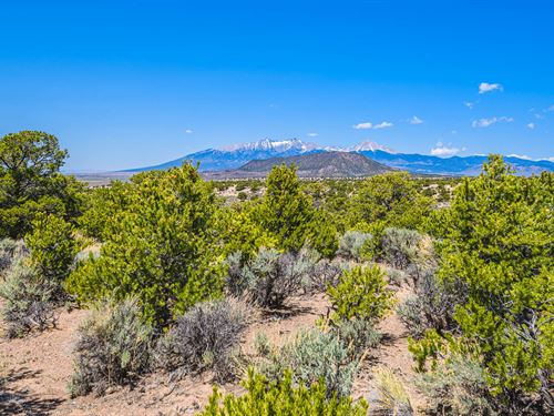 5Ac of Treed, Natural Beauty in Co : Fort Garland : Costilla County : Colorado