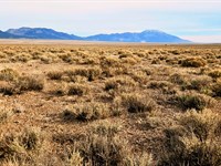 Nevada Desert Land, Build or Camp : Montello : Elko County : Nevada