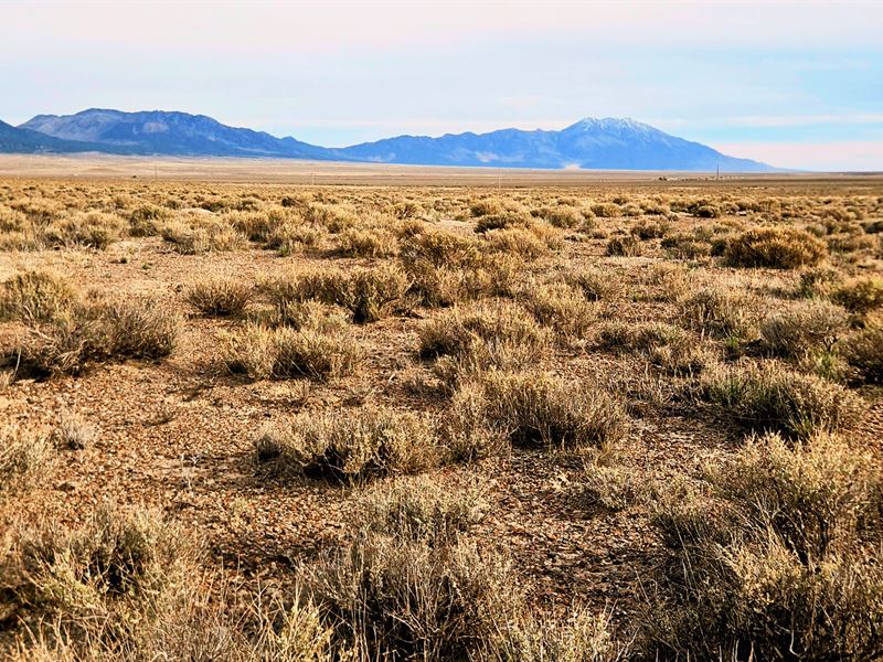 Nevada Desert Land, Build or Camp : Montello : Elko County : Nevada