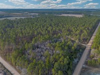 Premier Recreational & Timber Inves : Odum : Wayne County : Georgia