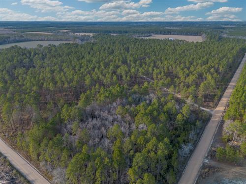 Premier Recreational & Timber Inves : Odum : Wayne County : Georgia