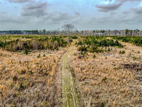 City Farm 60 : Denmark : Bamberg County : South Carolina