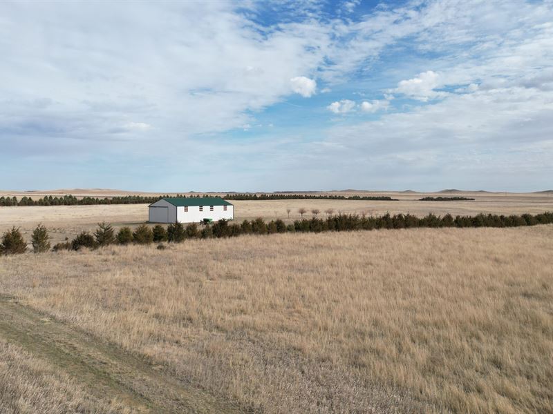 White Butte Upland Reserve : Petrel : Adams County : North Dakota