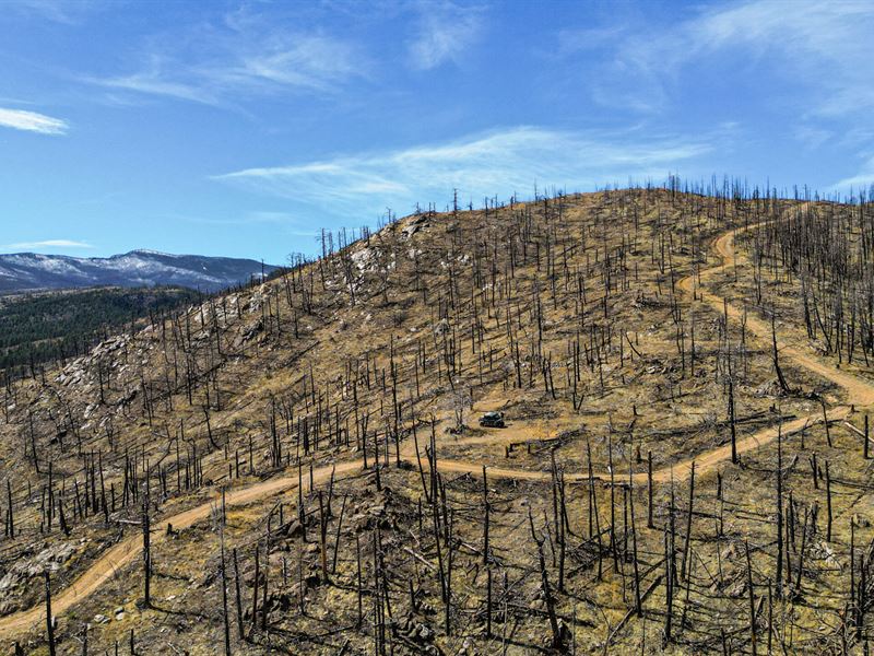 Moondance 35 : Bellvue : Larimer County : Colorado