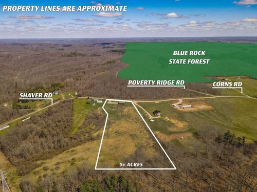 Shaver Rd, 5 Acres : Blue Rock : Muskingum County : Ohio