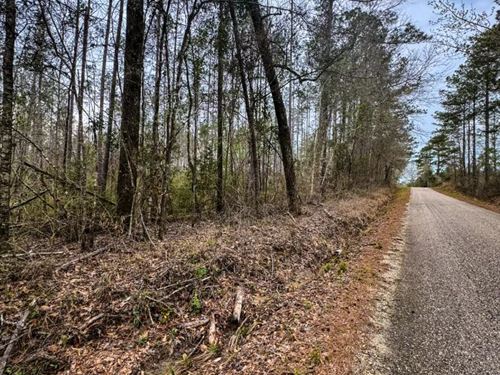 34.72 Acres in Jefferson Davis Coun : Columbia : Jefferson Davis County : Mississippi