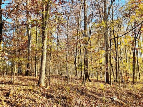 Jasper Co. Bargain Tract : Hillsboro : Jasper County : Georgia